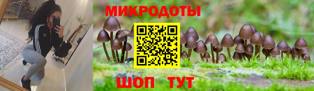 Одинцово  Псилоцибиновые грибы Magic Shrooms  Вход с VPN  Галлюциногенные грибы Psilocybe 